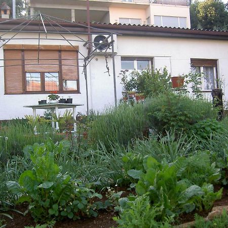 Apartman Thea Apartamento Opatija Exterior foto