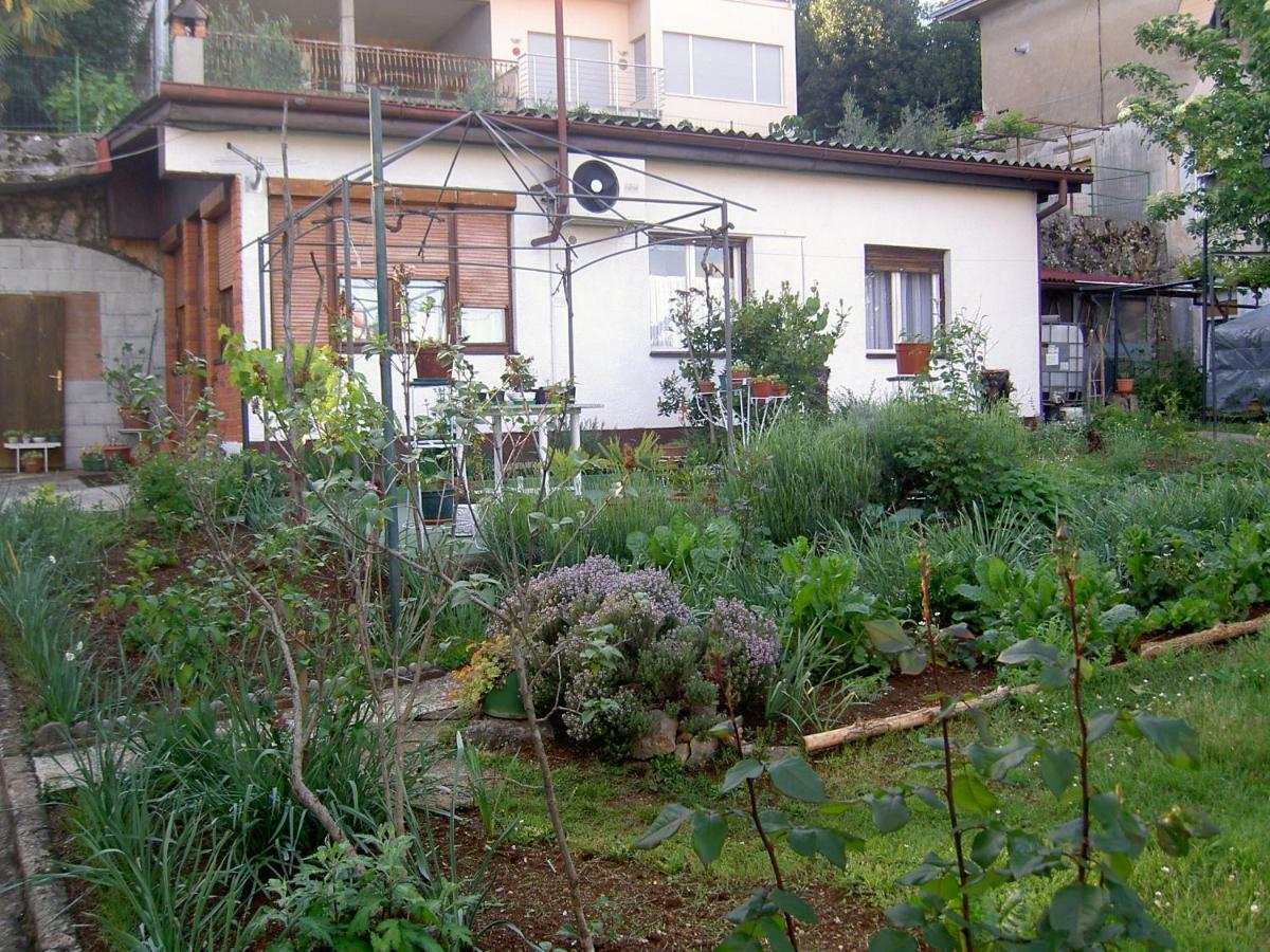 Apartman Thea Apartamento Opatija Exterior foto